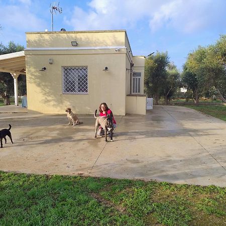 Villa Mios Муро Лечезе Екстериор снимка