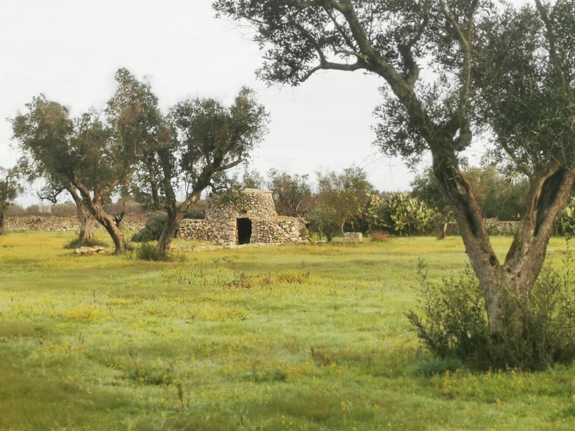 Villa Mios Муро Лечезе Екстериор снимка