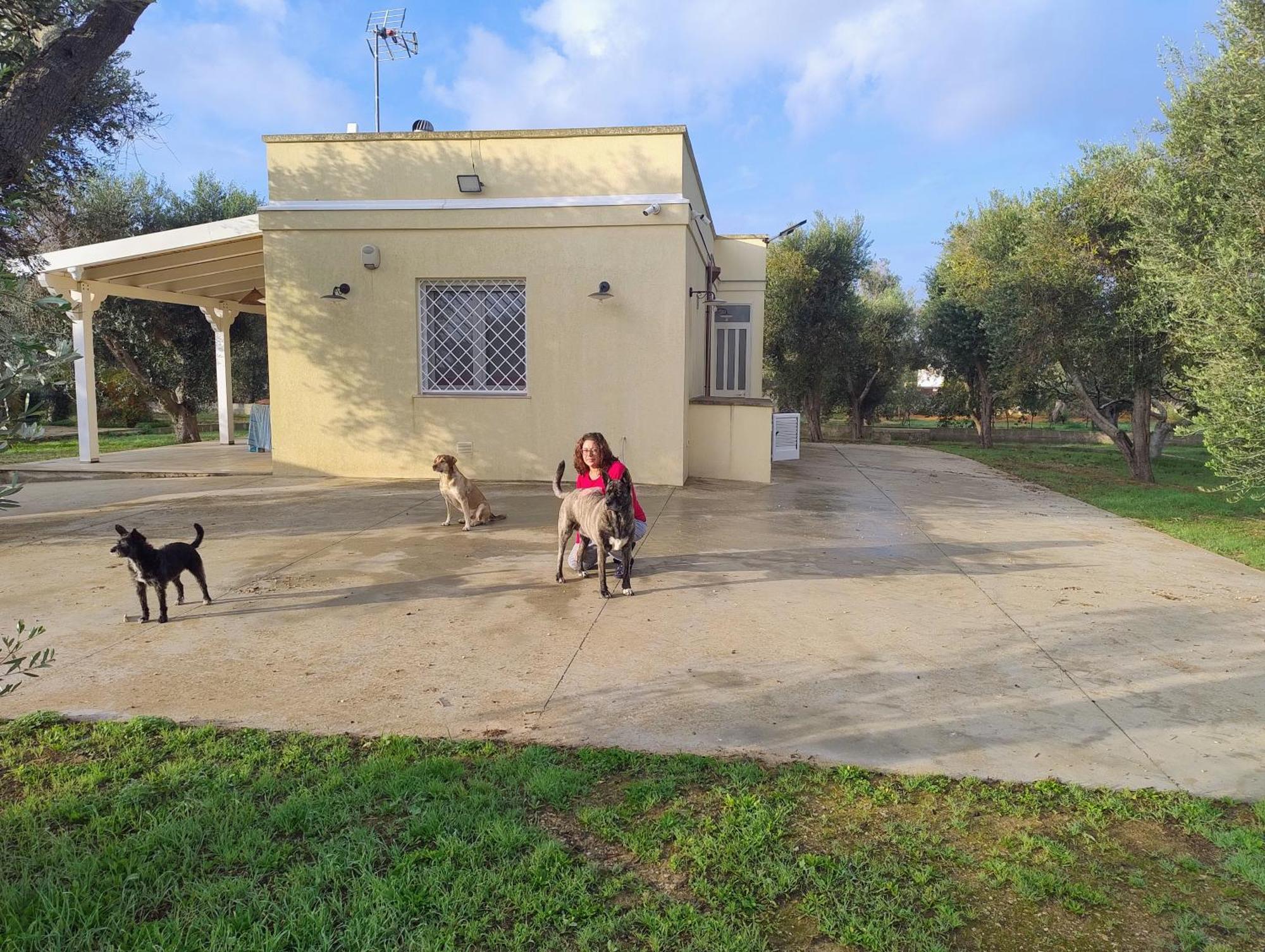Villa Mios Муро Лечезе Екстериор снимка