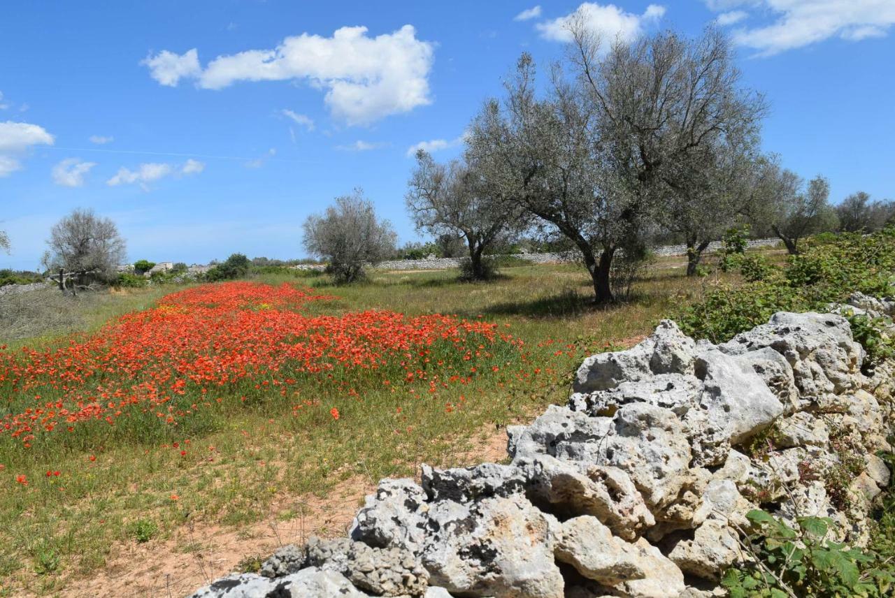 Villa Mios Муро Лечезе Екстериор снимка